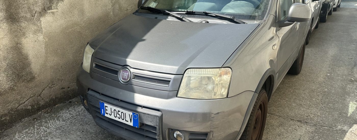 Silver Fiat van in the foreground parked along a concrete wall, with a line of cars behind under a green canopy.